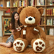 Large Teddy Bear Doll Plush Toy Big Bear Doll Valentine′s Day Gift Girls Confession Dressed Hug Bear manufacturer