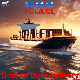 Sea Freight DDP Shipping Freight Forwarder by Sea to Dakha, Bangladesh