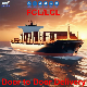  Sea Freight DDP Shipping Freight Forwarder by Sea to Dakha, Bangladesh