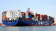 Cheapest Sea Shipping Agent From China to Dubai Sea Cargo Service