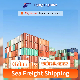  Professional Sea Shipment Agent Logistics Service From China to The United States
