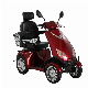 Four Wheel Lead-Acid Electric Scooter for Handicapped Person (ES-028A)