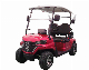 Dachi 2 Seater Electric Buggy Electric Golf Car