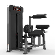 Realleader Back Extension Commercial Gym Equipment Fitness Sport (M3-1016) manufacturer