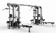 Realleader High Quality Gym Equipment of Multi-Jungle 8-Stack (FM-2006) manufacturer