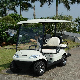  Stable Quality Fashion Shape Design Electric Golf Car for Sale