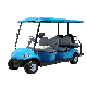All Aluminum Alloy Floor Sightseeing Club Car Buggy Golf Cart with Elegant Lines