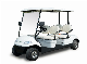  Fashion Shape Design in UAE Mini Cart Multifunctional Aluminum Frame Electric Golf Car