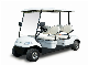 Fashion Shape Design in UAE Mini Cart Multifunctional Aluminum Frame Electric Golf Car