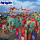 Professional Sea Freight Railway Forwarder Agent Shipping From China to Europe /Hamburg