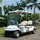  Graceful Design Energy Saving Golf Buggy Electric Car Cart From China Manufacturer