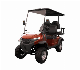  Wholesale Hunting 2+2 Seats Predator H2+2 Golf Buggy Electric Golf Cart