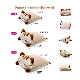  Cute Cat Shape Square Soft Stuffed Plush Kids Gift Cushion