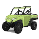 Durable off Road All-Terrian UTV-A7 Electric Utility Vehicle