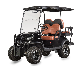  Hot Hunting 4 Passengers Golf Cart Electric Buggy