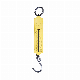 100kg Spring Hanging Fishing Scale