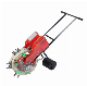 Farming Good Quality Seed Planter Machine Farm Manual Seed Planter