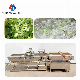 Industrial Automatic Food Vegetable Washing Machine Eddy Current Vortex Washer Machine