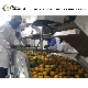 220L Aseptic Package Chili Sauce Mango / Pineapple Paste Jam Making Processing Line