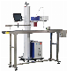 UV CO2 Fiber Flying/Fly Laser Marking / Printing/Engraving/Engraver/Marker/Printer Machine for /Plastic/Copper/Stainless Steel/Aluminum /Leather/Pipe /Tube