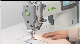  Household Electrical Easy Operation Lockstitch Sewing Industrial Machine for Multi-Function Downcoat