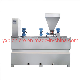 Wastewater Treatment Automatic Chemical Dosing System Dosing Equipment