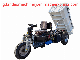 2.5 Ton Diesel Mini Dumper Cargo Tricycle for Sale