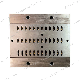  Steel Mold Extrusion Die for Extruding Thermal Break Strips in Aluminum System Windows