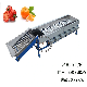 Customized Commercial Tomato Apple Passion Fruit Orange Washing Air Drying Classifier Production Line Fruit Sorting Machine manufacturer