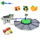  Stone Fruit Nectarine Apple Citrus Orange Peach Pear Fruit Rotary Weight Cleaning Sorting Machine