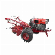 Df18 Walking Tractor, 18HP Diesel Tractor, Power Tiller, Two Wheel Tractor, Model Mx-181