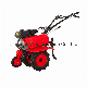 Farm Power Tiller, Cultivator, Mini Tiller, Model Gt500A/Gt900A