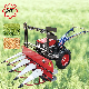 Mini Walking Corn Harvester Machine Paddy Reaper Grass Alfalfa Harvesting Machine Harvester Agricultural Machine