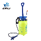 China Supplier Hot Sale Agriculture Air Pressure Sprayer Knapsack