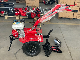  Mini Rotary Tiller/Power Tiller/Small Agricultural Land Machine/9 HP Cultivator