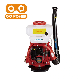 Agricultural Sprayers Machine Knapsack Backpack Mist Duster Power Sprayer Pest Control Sprayer manufacturer