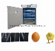 Chicken Egg Incubator Hatching Machine Poultry Equipment Eggs Solar Incubator