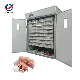 Mini Incubator Incubator for Eggs Egg Incubators with Trays manufacturer