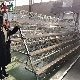 Poultry Farming Cheap 4 Tier Automatic Egg Layers Chicken Cages for Sale in Zambia Kenya