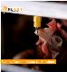 Farming Port Fully Automatic Poultry Layer Nipple Drinkers and Broiler Nipple Drinkers