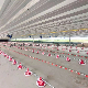 Complete Full Automatic Chicken Poultry Shed Farming Equipment Feeding Line System