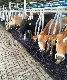 Self-Locking Neck Self Locking Headlock Self Locking Headlock for Cow Farm manufacturer