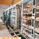 Automatic Trough Feeding Broiler Cage of Meat Chicken Raising System