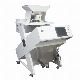  Mini Rice Color Sorter Machine for Food Industrial