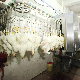  Broiler Automatic Poultry Slaughtering House Processing Line Equipment