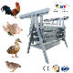  Poultry Plucker Machine for Chicken Duck Goose Quail Slaughter House Feather Cleaning Equipment