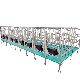 Farrowing Cage Farrowing Crate High Quality Pig Farrowing Crate Pig Poultry Cage Pig Farm Machinery