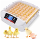 Newest Model 56 Eggs Incubator with LED Light Egg Tester