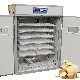 Automatic Eggs Hatching Machine Poultry 5000 Chicken Egg Incubator