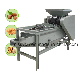 for Sale Automatic Electric Pecan Crackers Nut Breaker Walnut Shelling Nutcracker Equipment Processing Machine manufacturer